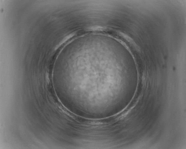 X0000084011209200703022022