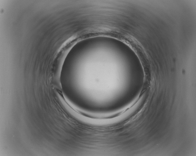 X0000084011210200703022022