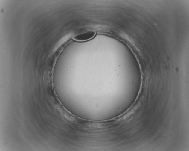 X0000084011211200703022022