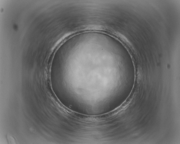 X0000084011212200703022022