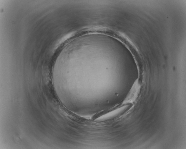 X0000084011213200703022022