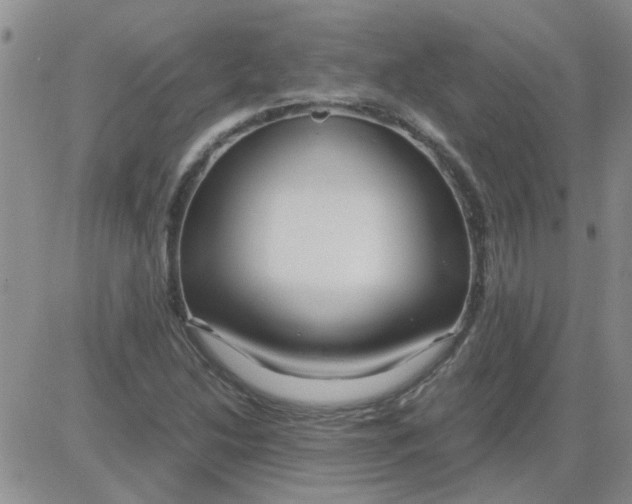 X0000084011214200703022022