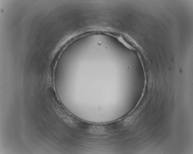 X0000084011215200703022022