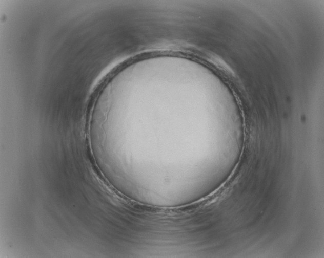 X0000084011216200703022022