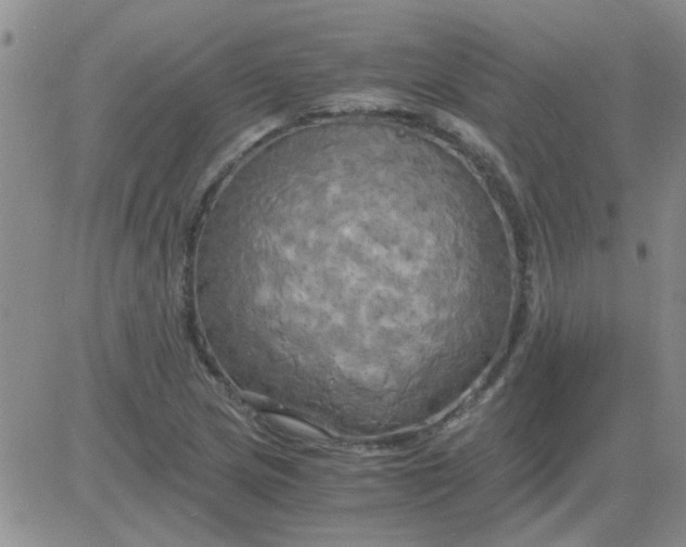 X0000084011217200703022022