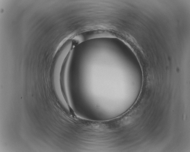 X0000084011218200703022022