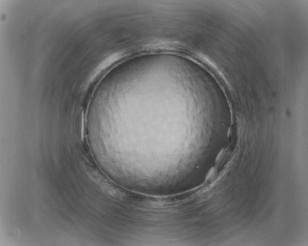 X0000084011219200703022022