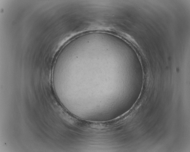 X0000084011220200703022022