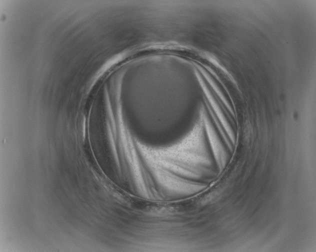 X0000084011221200703022022