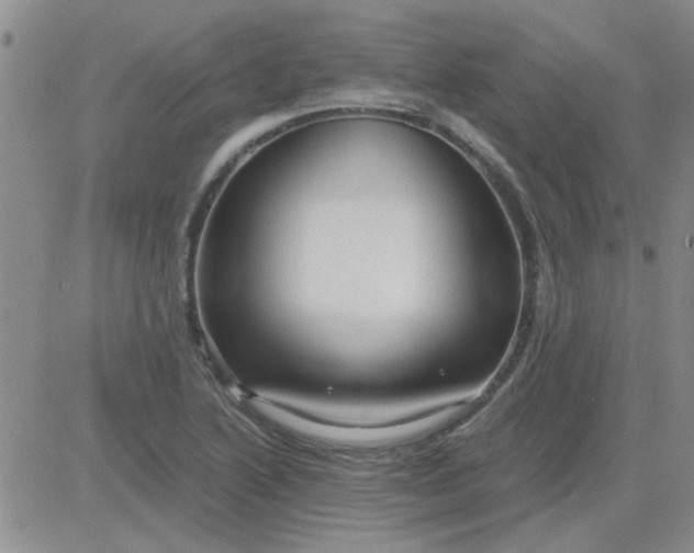 X0000084011222200703022022