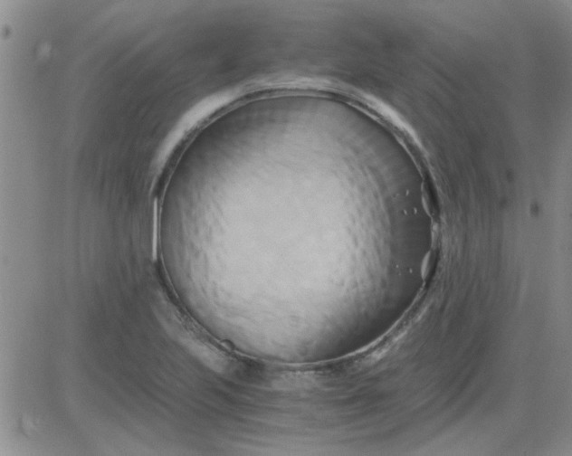 X0000084011223200703022022