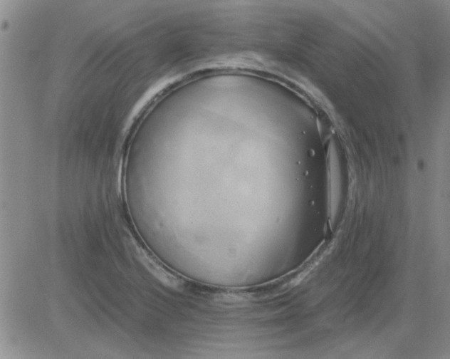 X0000084011224200703022023