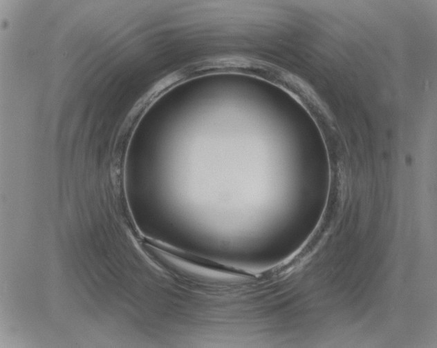 X0000084011225200703022023