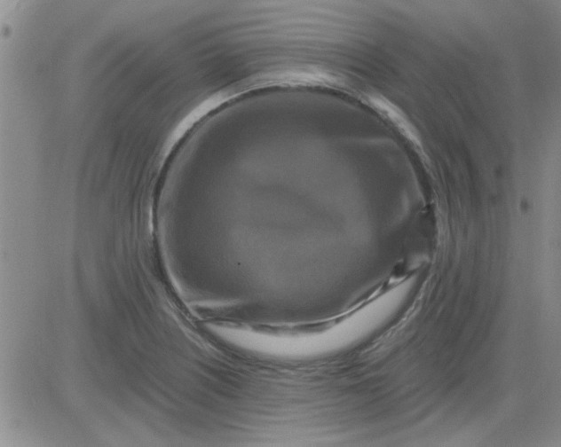 X0000084011226200703022023