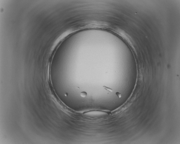 X0000084011227200703022023