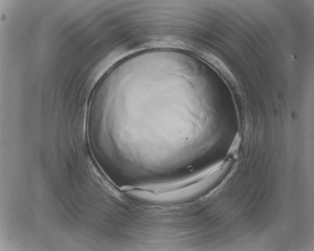 X0000084011228200703022023