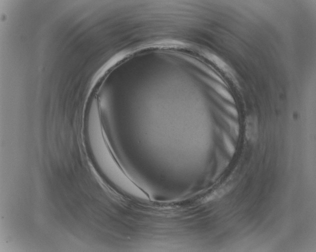 X0000084011229200703022023