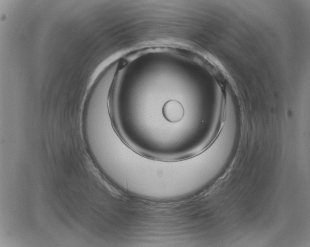 X0000084011230200703022023