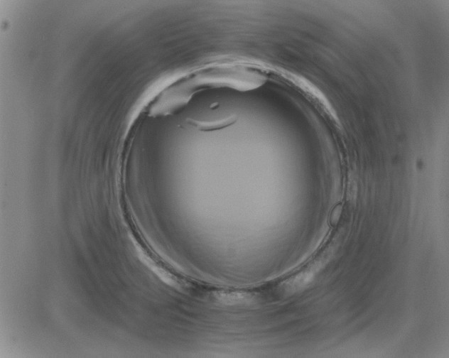 X0000084011231200703022023