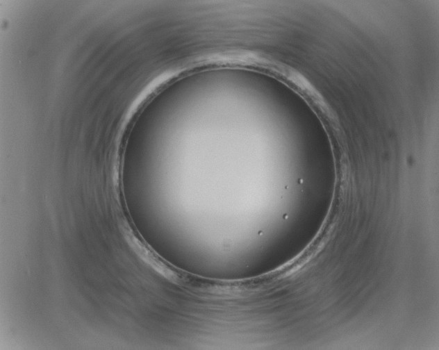 X0000084011232200703022023