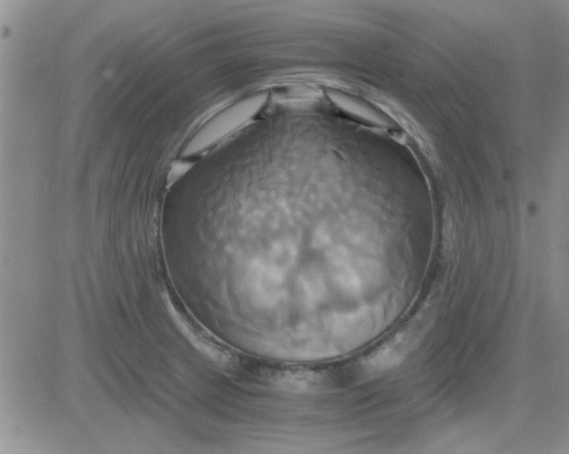 X0000084011233200703022023