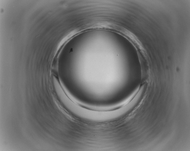 X0000084011234200703022023