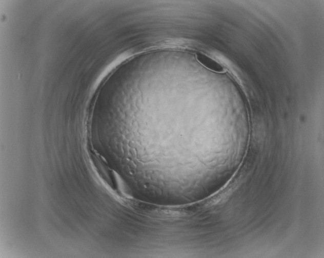 X0000084011235200703022023