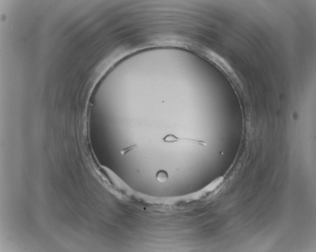 X0000084011236200703022023