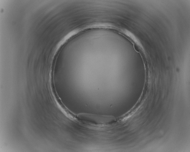 X0000084011237200703022023