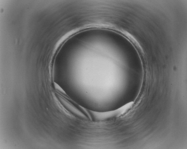 X0000084011238200703022023