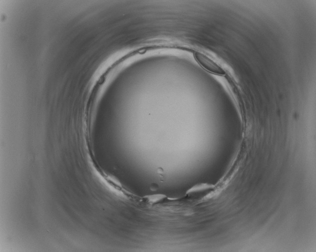 X0000084011239200703022023