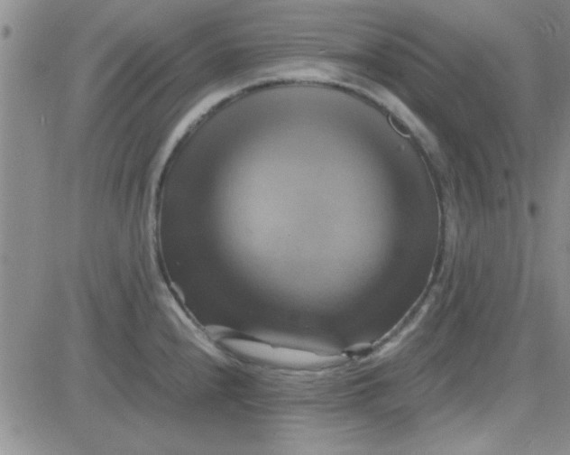 X0000084011240200703022023