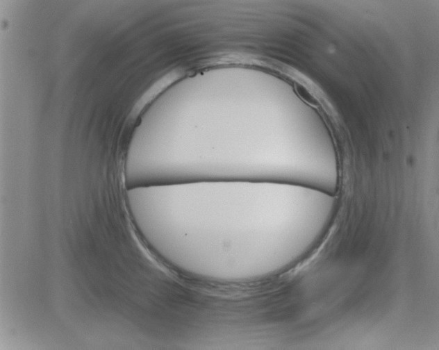 X0000084011241200703022023