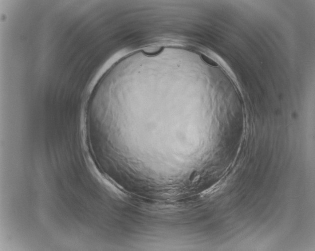 X0000084011243200703022023