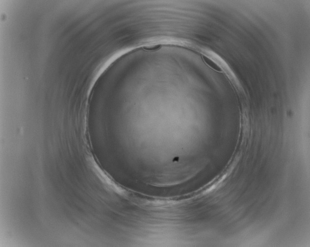 X0000084011244200703022023