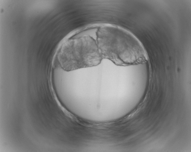 X0000084011245200703022023