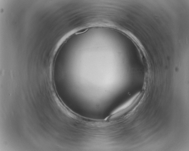 X0000084011246200703022023