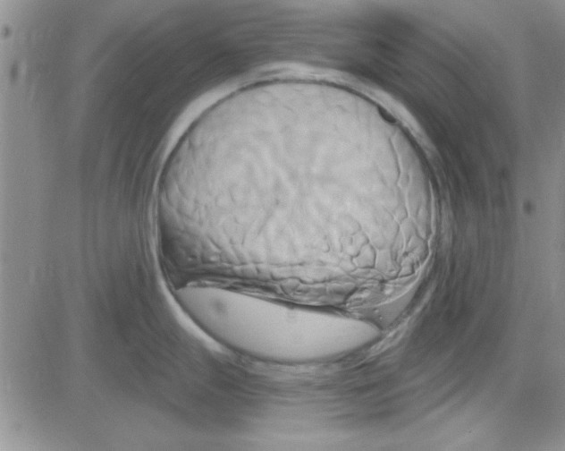 X0000084011247200703022023