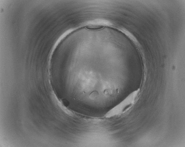 X0000084011248200703022023