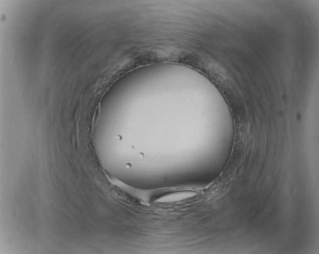 X0000084011249200703022022