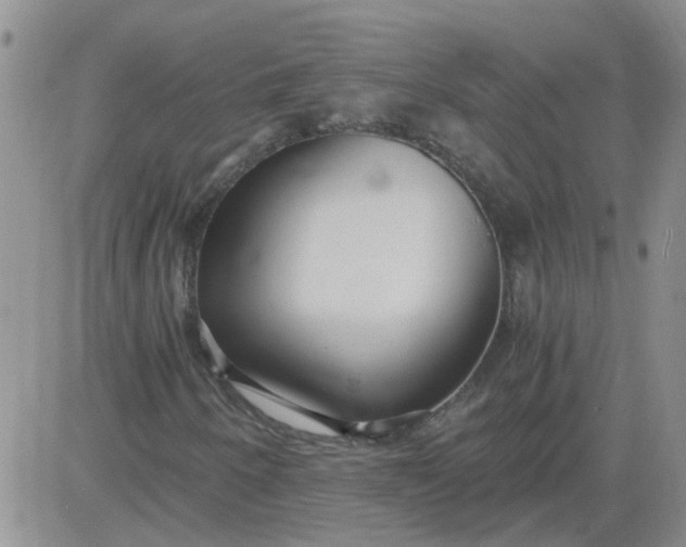 X0000084011250200703022022