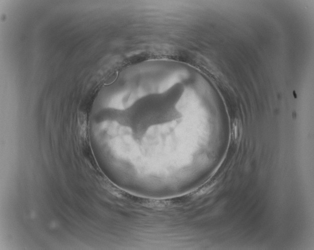 X0000084011251200703022022