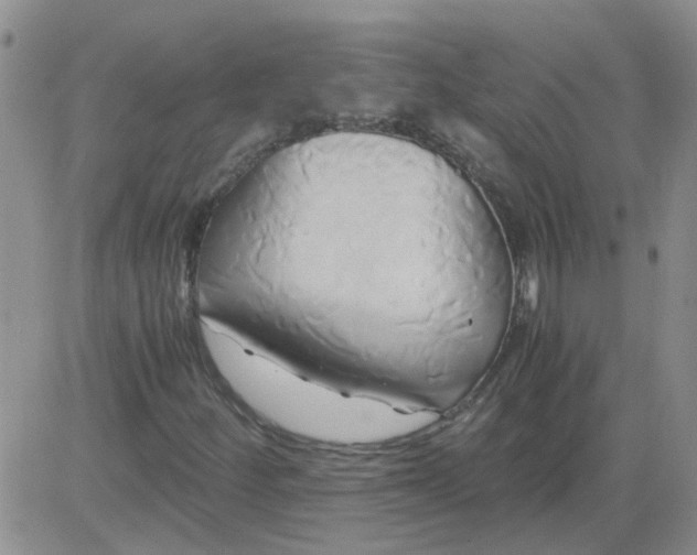 X0000084011252200703022022