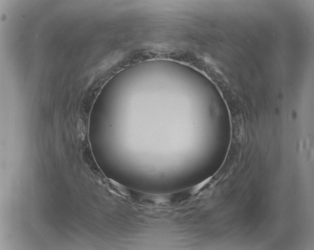 X0000084011253200703022022