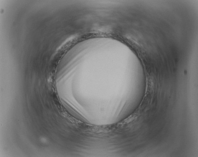 X0000084011254200703022022