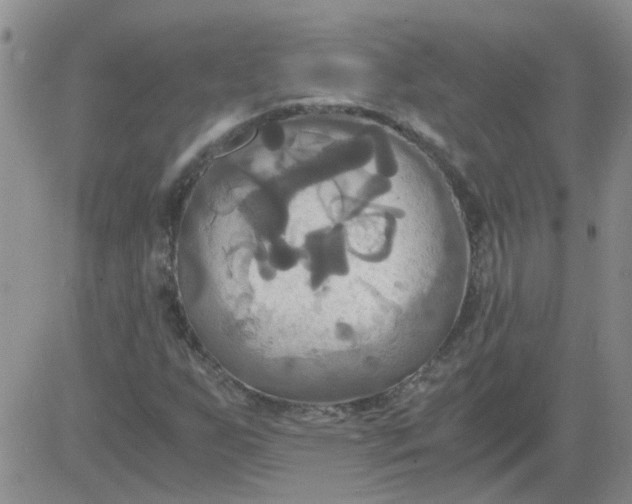 X0000084011255200703022022