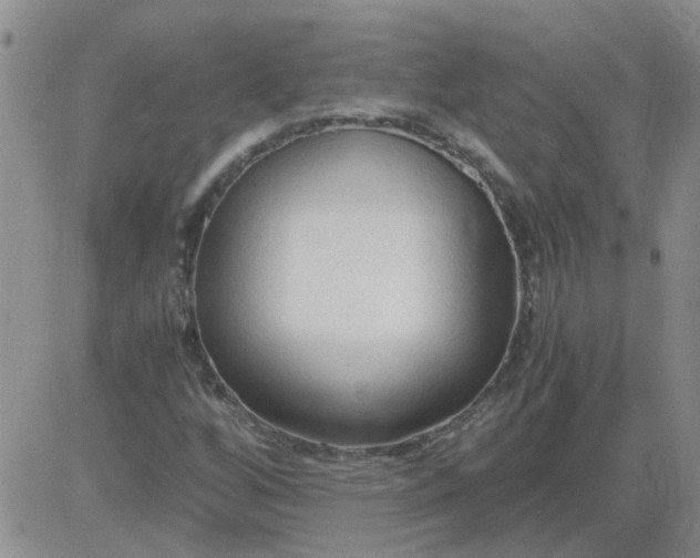 X0000084011256200703022022