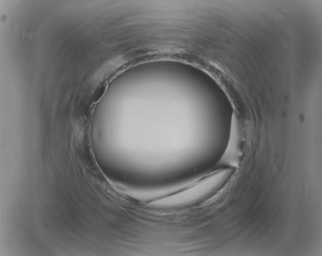 X0000084011257200703022022