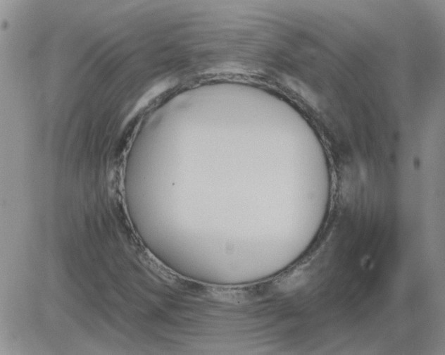 X0000084011258200703022022