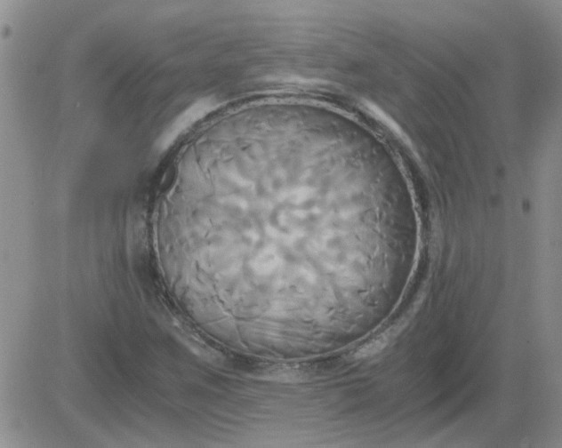 X0000084011259200703022022